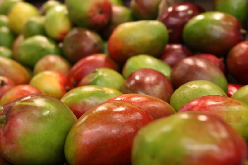 Exotic Ingredient Mixes